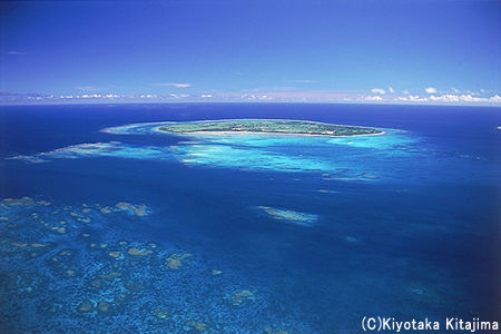 020黒島：CORAL REEF PARADISE 八重山の珊瑚礁の海