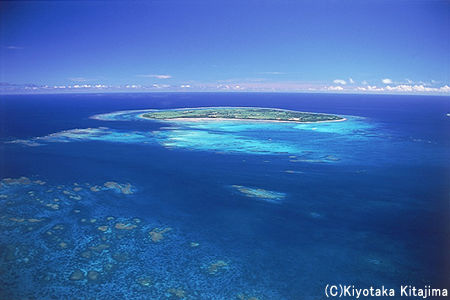 CORAL REEF PARADISE 八重山の珊瑚礁の海