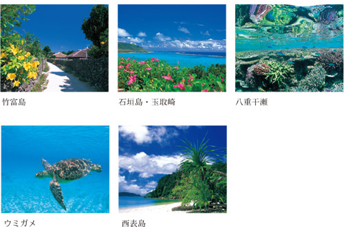 Coral Island OKINAWA ポストカードセット１２枚入り