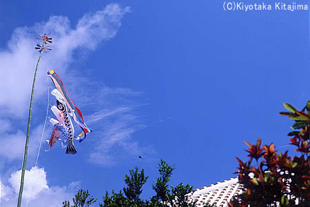 小浜島：小浜島風景