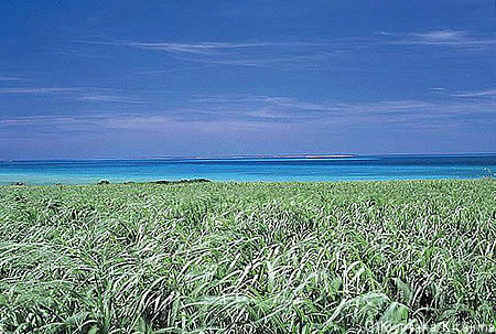 小浜島：風の島