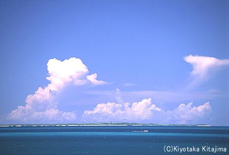 040新城島：夏の風景