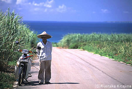 小浜島：わした島