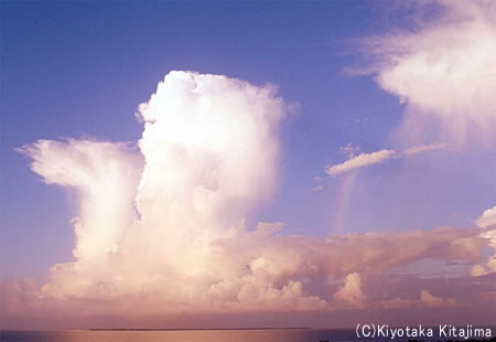 小浜島：rainbow