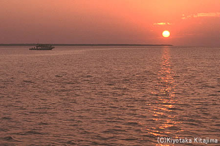 003小浜島：太陽の道