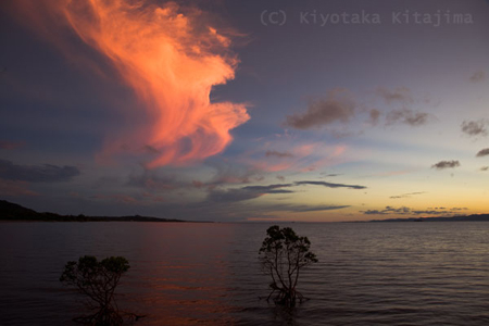 石垣島：マングローブと夕焼け空