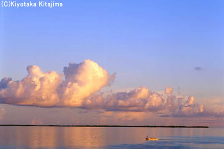 003小浜島：orange cloud