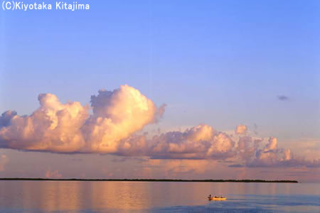 小浜島：orange cloud