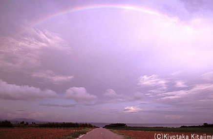 小浜島：Over the rainbow