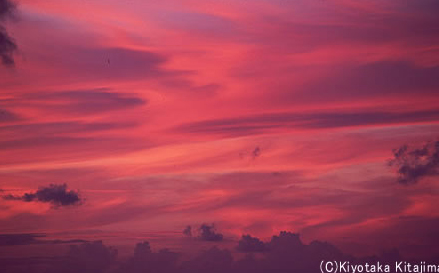 小浜島：Ｓｋｙ　Ａｒｔ