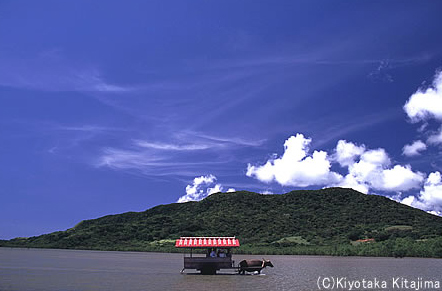 由布島：水牛車で渡る島